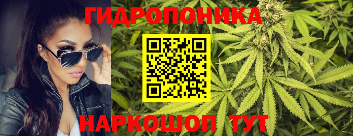 Бошки марихуана SATIVA & INDICA  Канабис Bruce Banner  Кингисепп  Вход с VPN  Канабис гибрид 